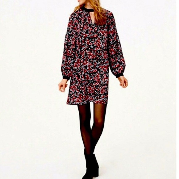 LOFT Black Floral Dress - Picture 4 of 7